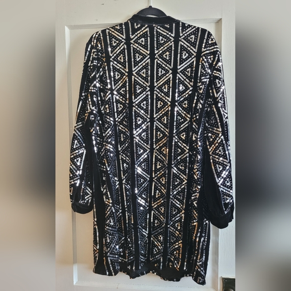 Velvet and Sequin Dress - Picture 2 of 4